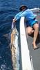 Renae releasing her first black marlin